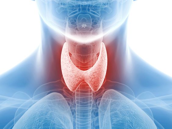 Managing Thyroid Disorders